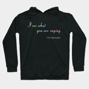 I see what you are saying funny spiritual joke Hoodie